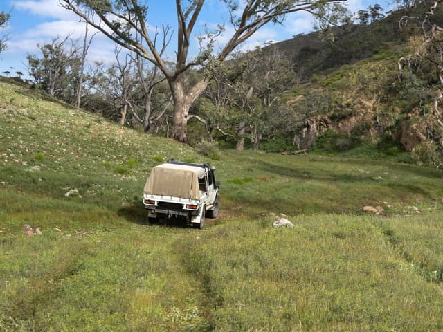 Lot 243 Flinders Ranges Way, Quorn SA