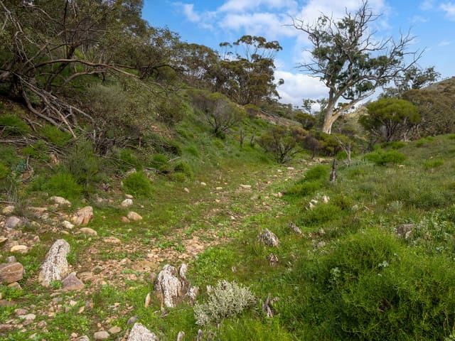 Lot 243 Flinders Ranges Way, Quorn SA photo 2
