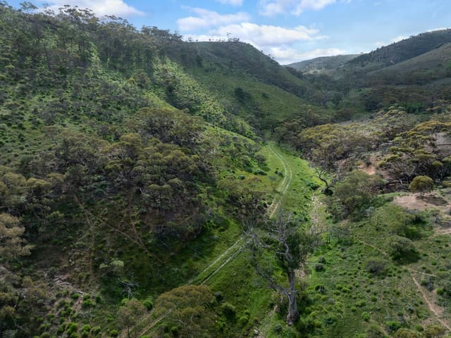 Lot 243 Flinders Ranges Way, Quorn SA photo 4