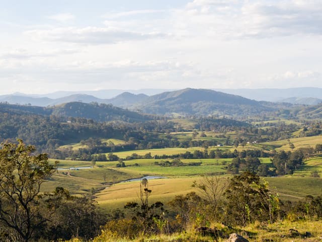 52 Gabulah Road, Gresford NSW 2311 photo 3