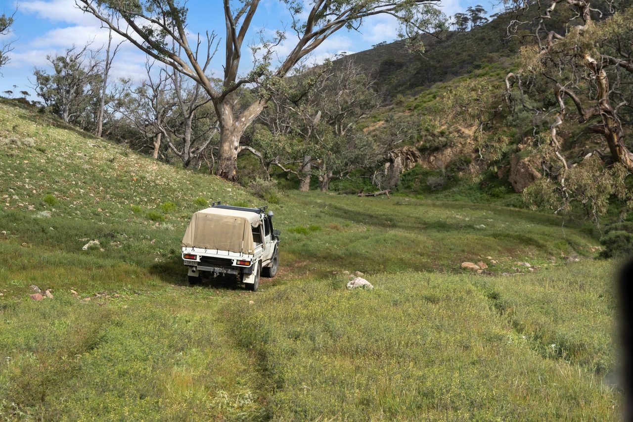 Lot 243 Flinders Ranges Way, Quorn SA